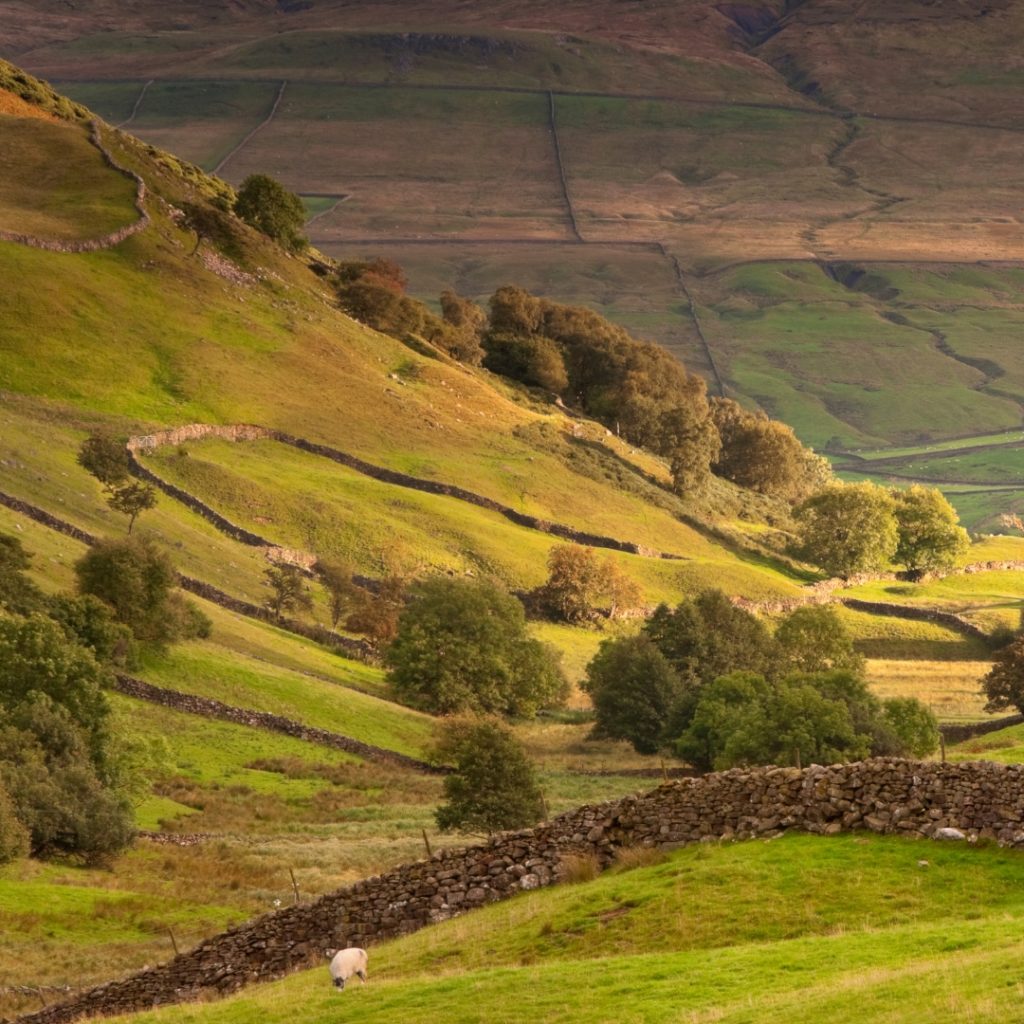 Tour de Yorkshire